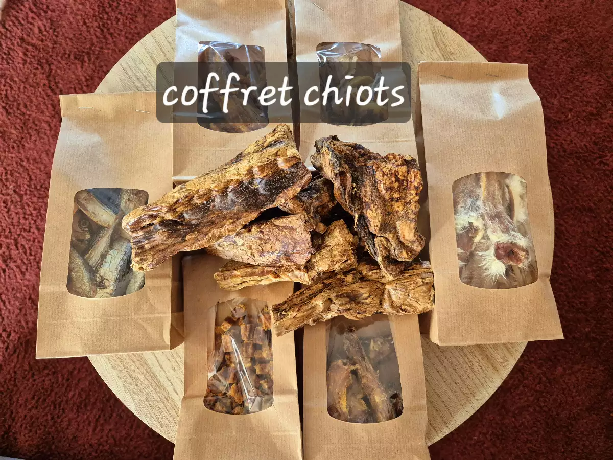 Coffret spécial chiots